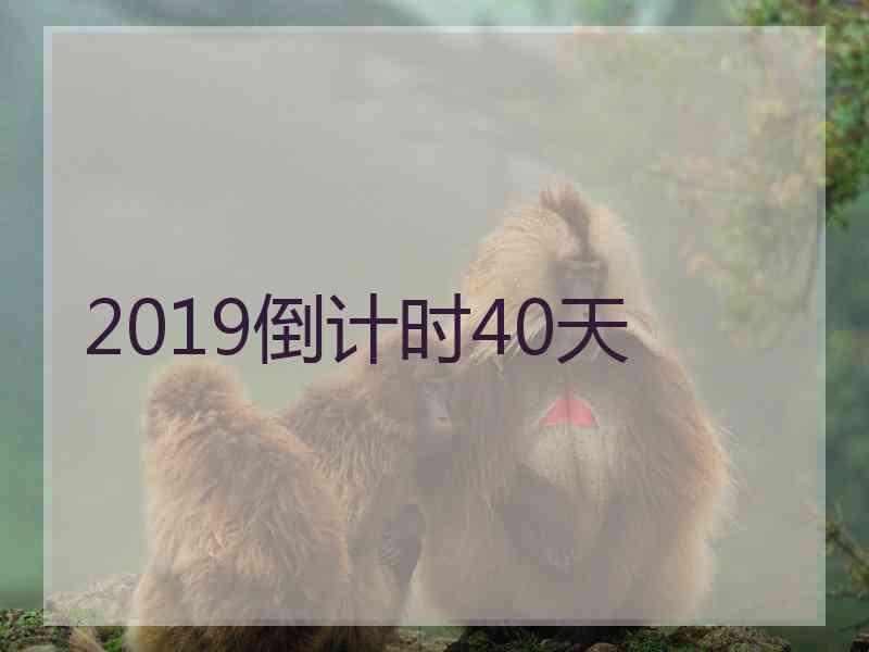 2019倒计时40天