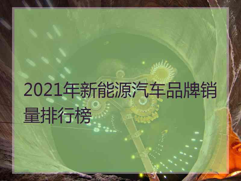 2021年新能源汽车品牌销量排行榜