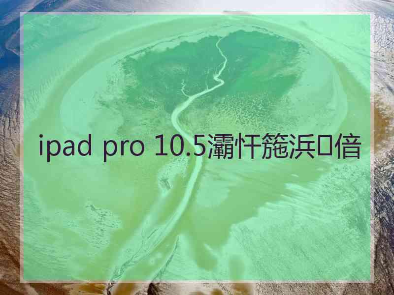 ipad pro 10.5灞忓箷浜偣