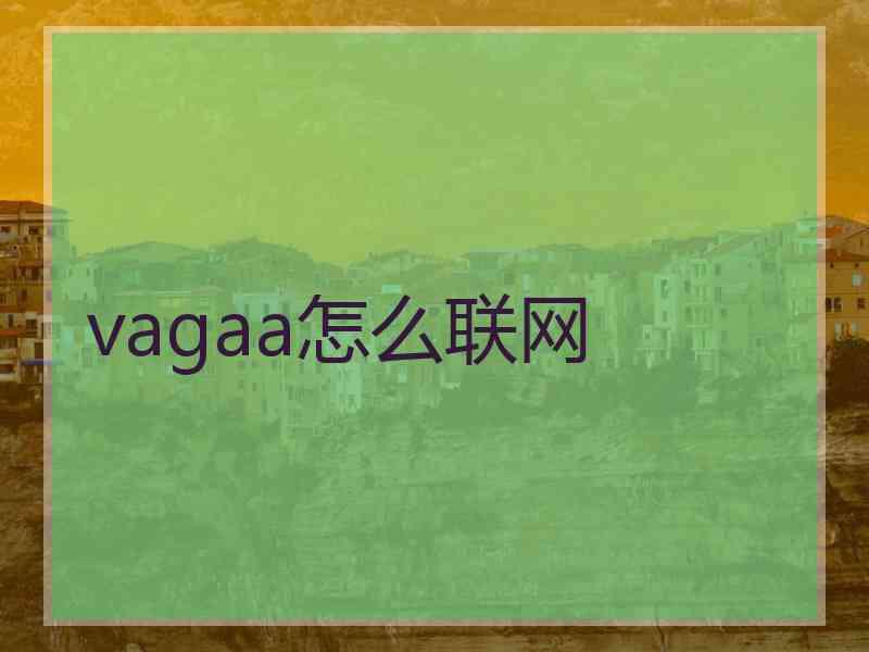 vagaa怎么联网