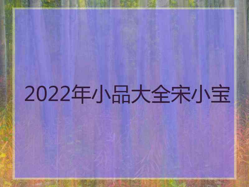 2022年小品大全宋小宝