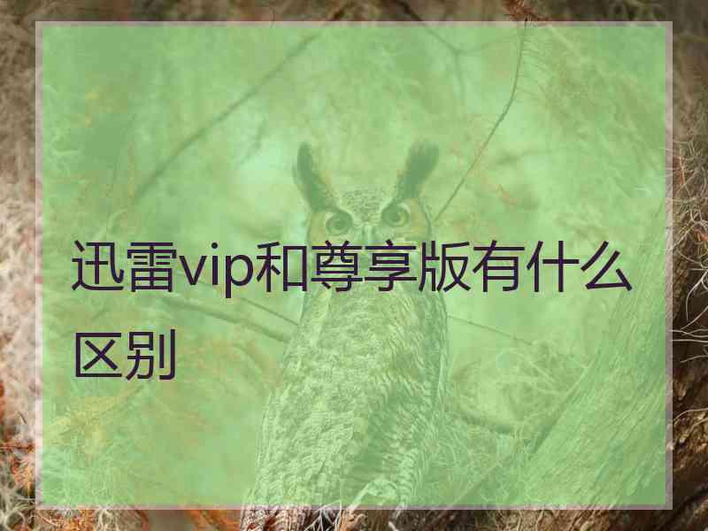 迅雷vip和尊享版有什么区别