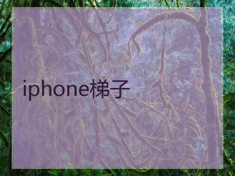 iphone梯子