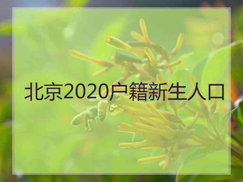 北京2020户籍新生人口