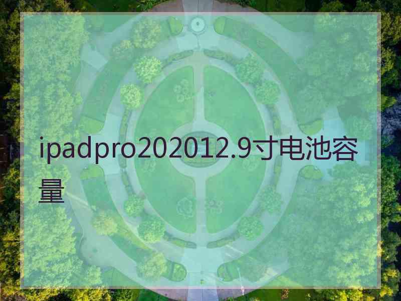 ipadpro202012.9寸电池容量