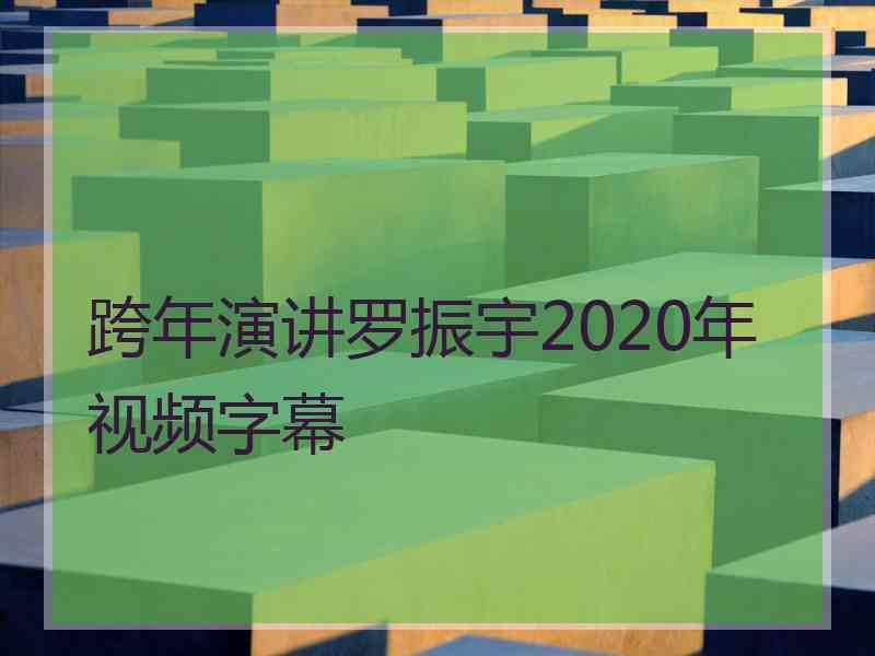 跨年演讲罗振宇2020年视频字幕