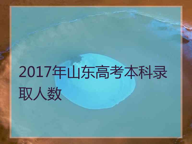 2017年山东高考本科录取人数