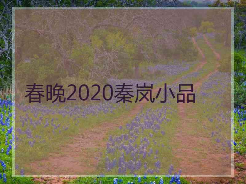 春晚2020秦岚小品