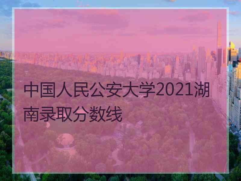 中国人民公安大学2021湖南录取分数线