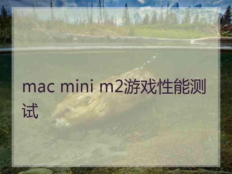 mac mini m2游戏性能测试