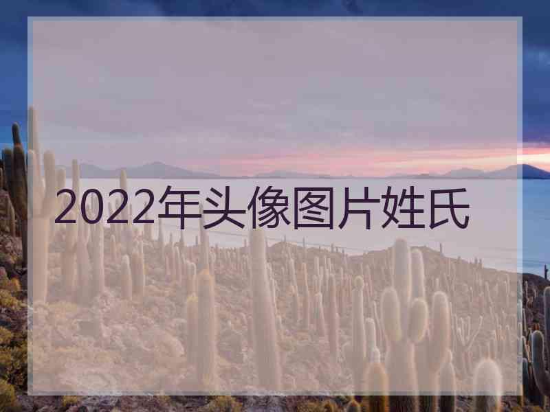 2022年头像图片姓氏