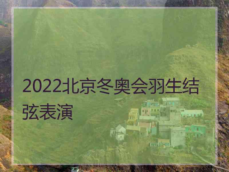 2022北京冬奥会羽生结弦表演