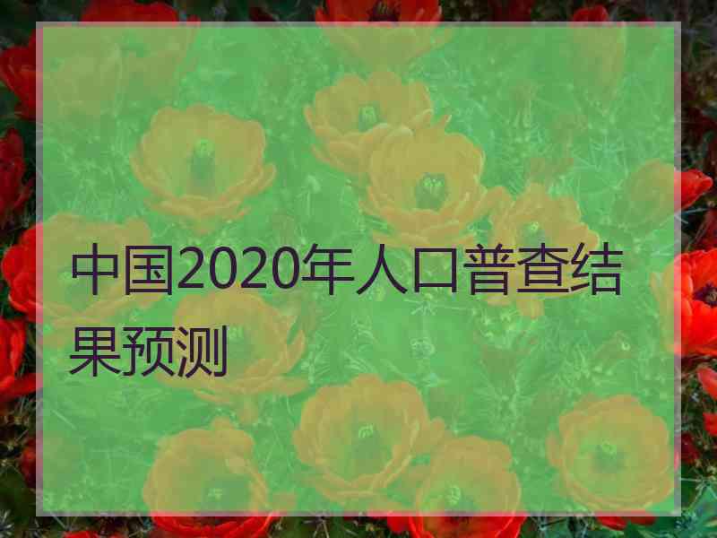 中国2020年人口普查结果预测