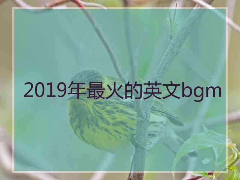 2019年最火的英文bgm