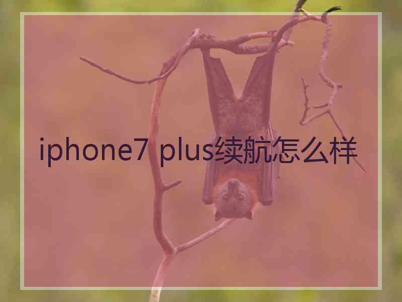 iphone7 plus续航怎么样