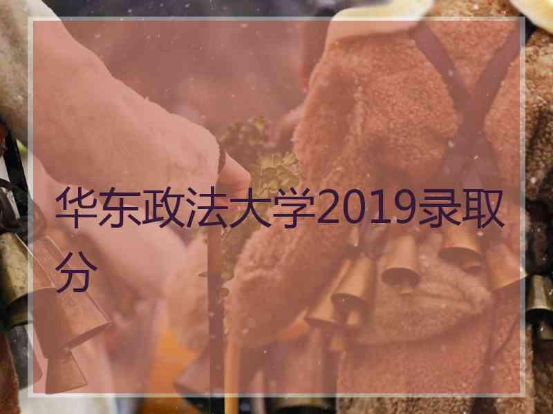 华东政法大学2019录取分