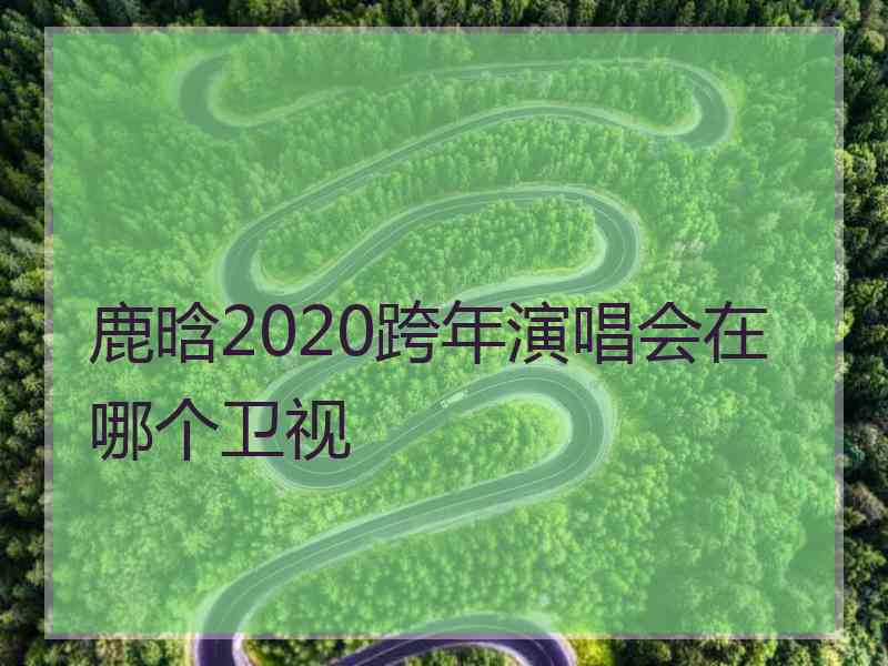 鹿晗2020跨年演唱会在哪个卫视