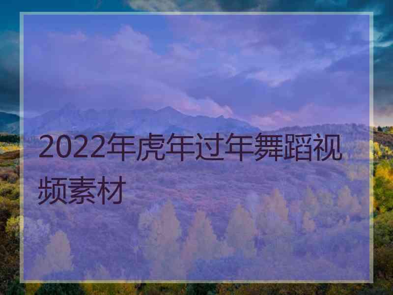 2022年虎年过年舞蹈视频素材