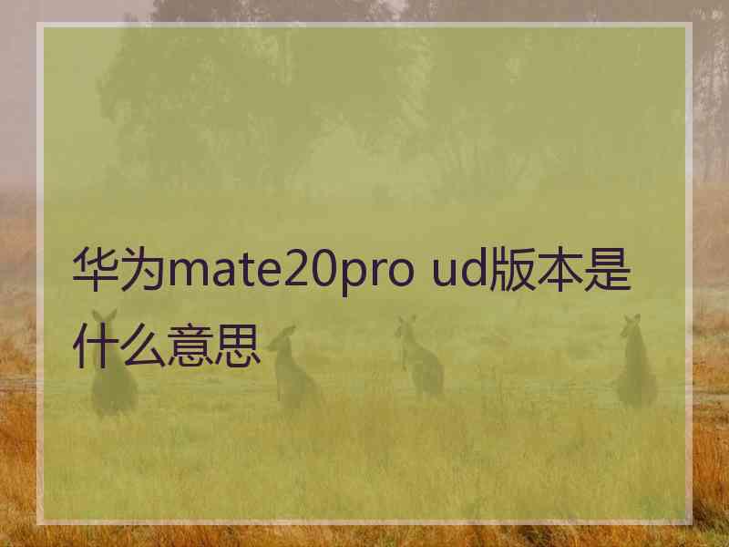 华为mate20pro ud版本是什么意思