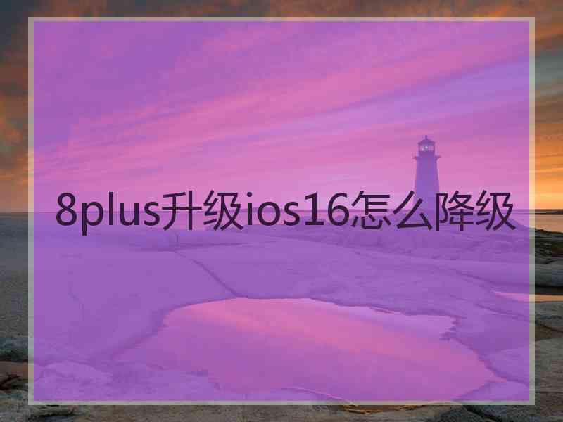 8plus升级ios16怎么降级