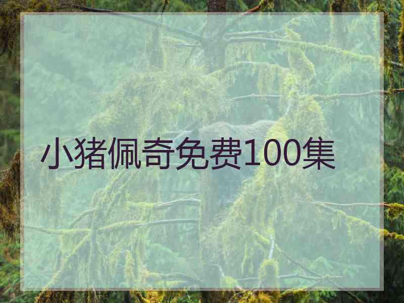 小猪佩奇免费100集