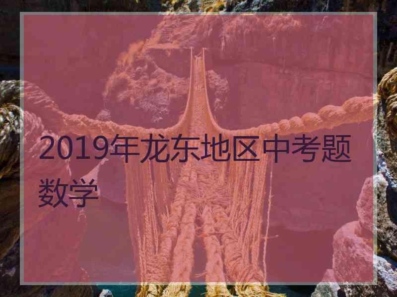 2019年龙东地区中考题数学