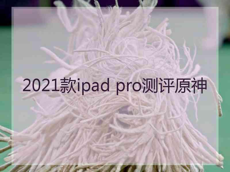 2021款ipad pro测评原神