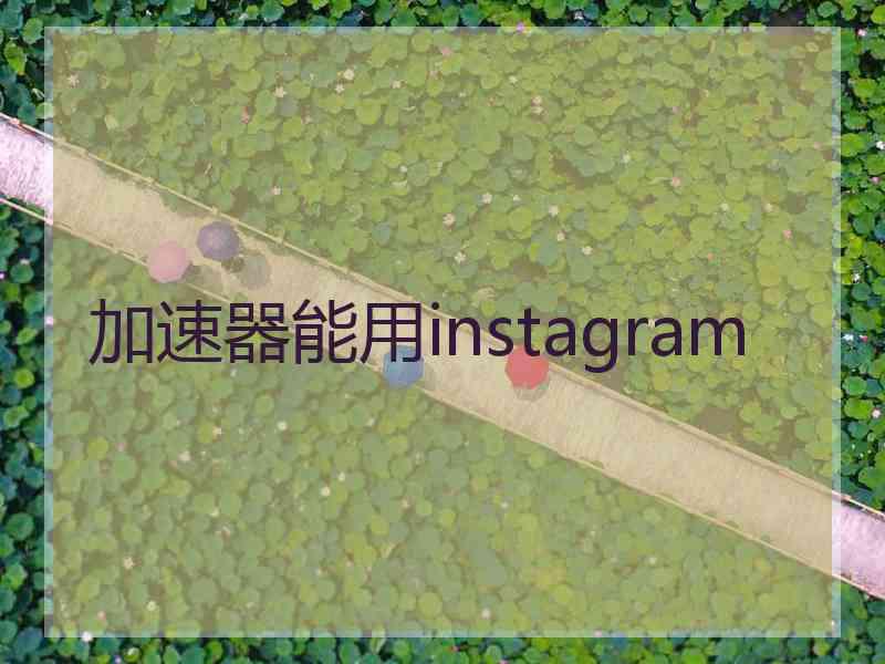 加速器能用instagram