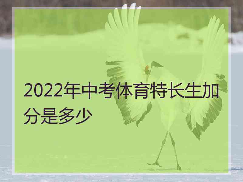 2022年中考体育特长生加分是多少