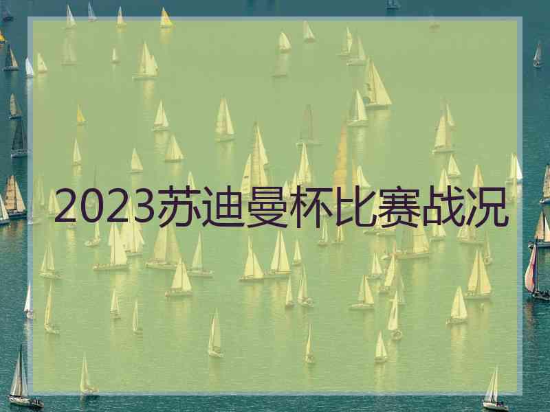 2023苏迪曼杯比赛战况