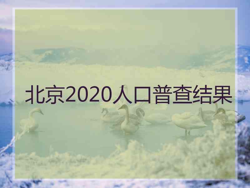 北京2020人口普查结果