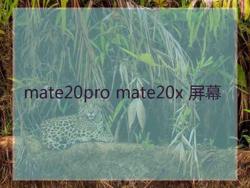 mate20pro mate20x 屏幕