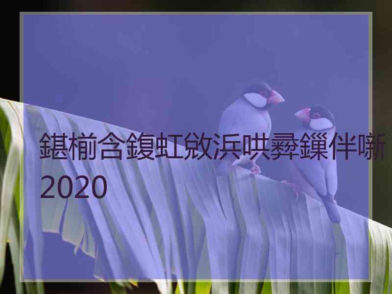 鍖椾含鍑虹敓浜哄彛鏁伴噺2020