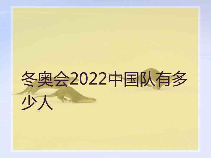 冬奥会2022中国队有多少人