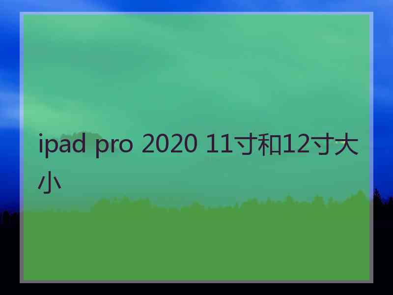 ipad pro 2020 11寸和12寸大小