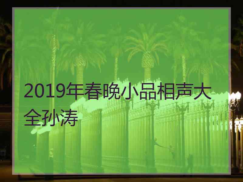 2019年春晚小品相声大全孙涛