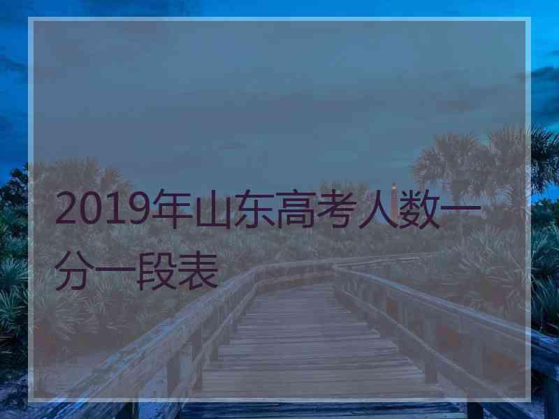 2019年山东高考人数一分一段表