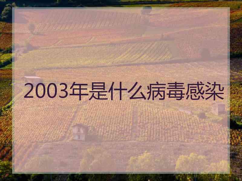 2003年是什么病毒感染