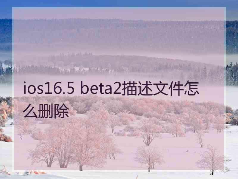 ios16.5 beta2描述文件怎么删除