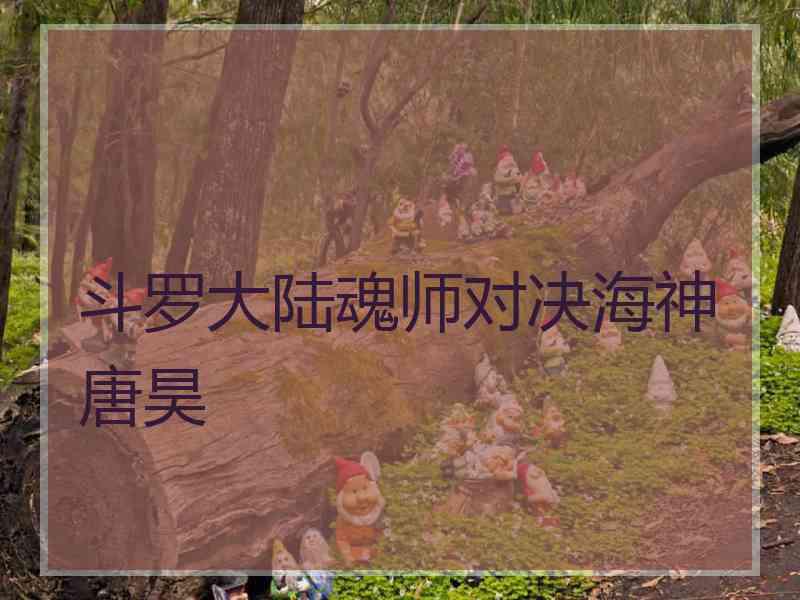 斗罗大陆魂师对决海神唐昊