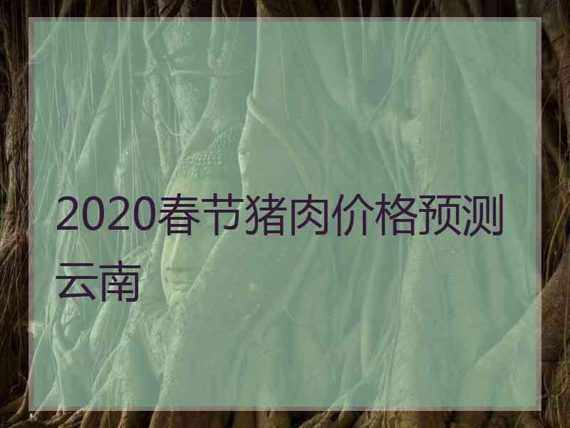 2020春节猪肉价格预测云南