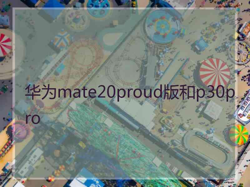 华为mate20proud版和p30pro