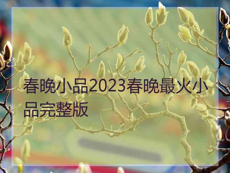 春晚小品2023春晚最火小品完整版