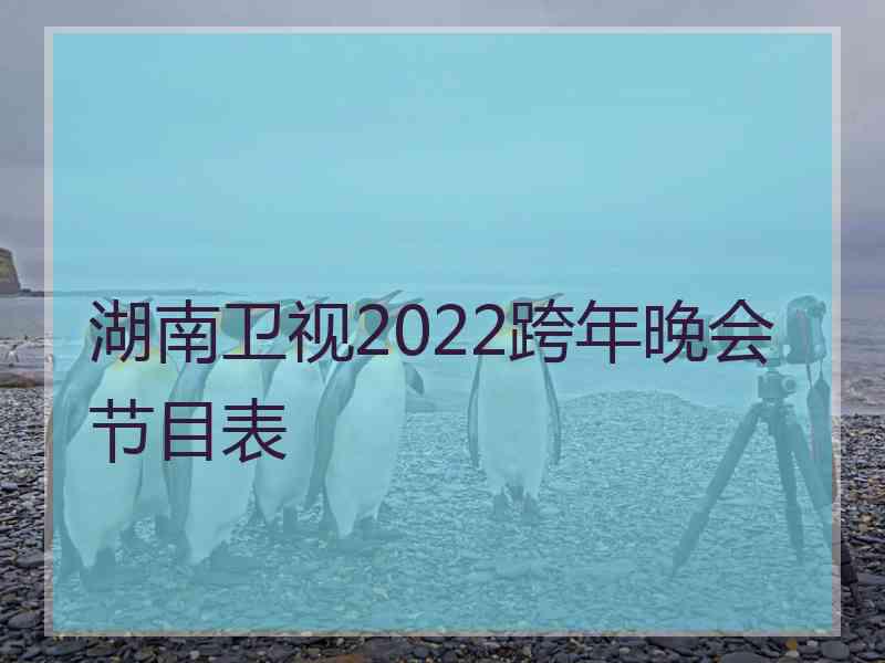 湖南卫视2022跨年晚会节目表