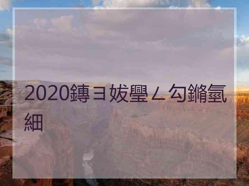 2020鏄ヨ妭璺ㄥ勾鏅氫細