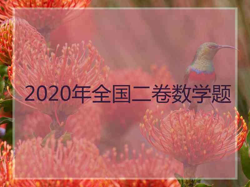 2020年全国二卷数学题