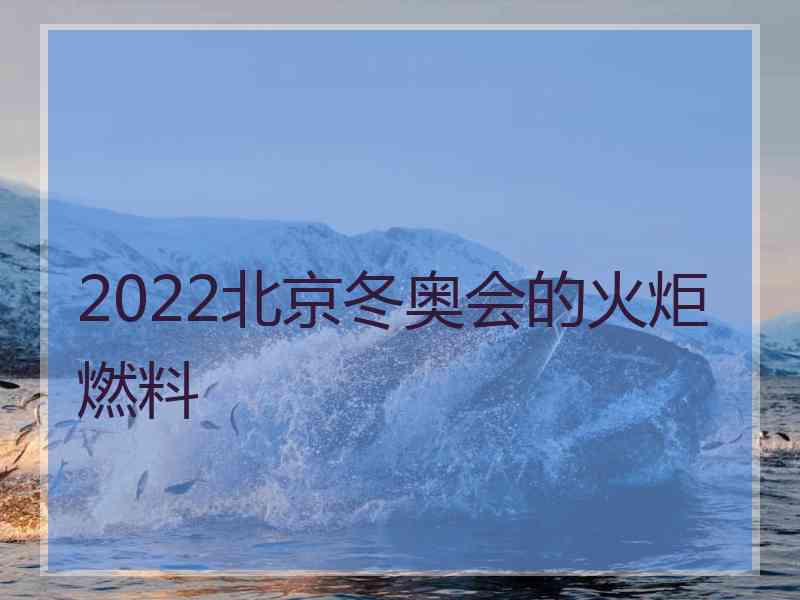 2022北京冬奥会的火炬燃料