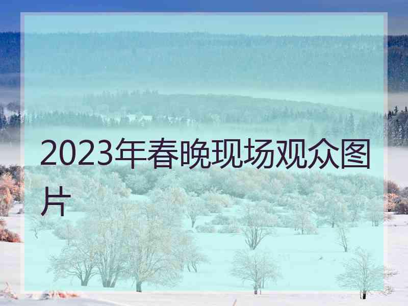 2023年春晚现场观众图片