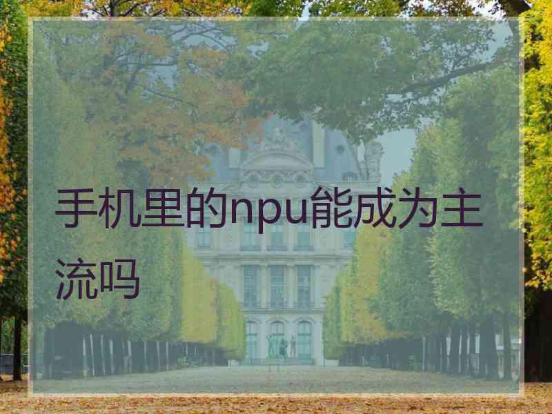 手机里的npu能成为主流吗