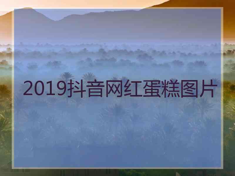 2019抖音网红蛋糕图片